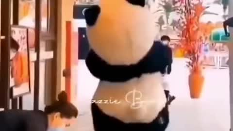 Funny Cute Panda Video ❤️