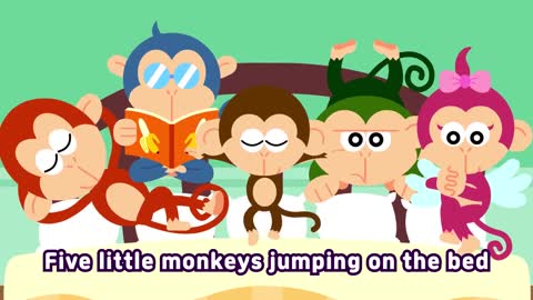 monkeys funny