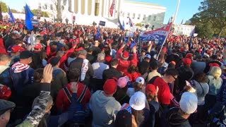 Million Maga March, Washington D.C.