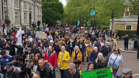 A flock of anti covid vaccine banners at the London worldwide protest against the plandemic