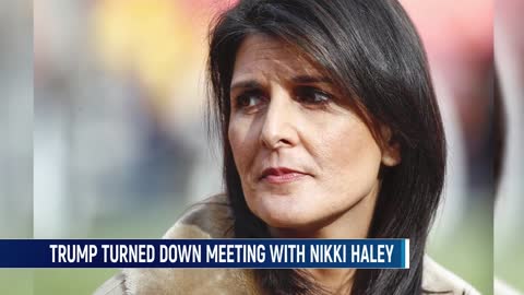 Nikki Haley Gets Shot Down By President Trump, Will Not Have Face-To-Face Meeting In Florida