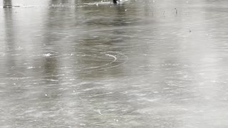 Thin Ice Makes for Soaked Skates