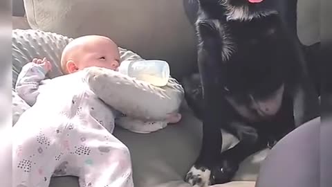 Funny so caring Dog