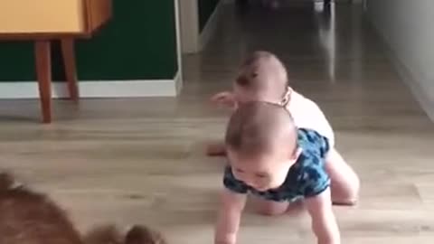 Dog always up for a good time with the babies