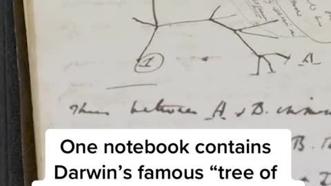 Charles Darwin's notebook is back at Cambridge University