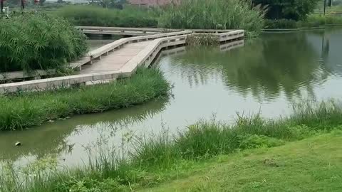 There is a plank road in the lake