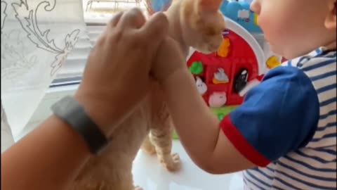 Funny video baby cat,enjoy video