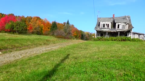 Fall Foliage