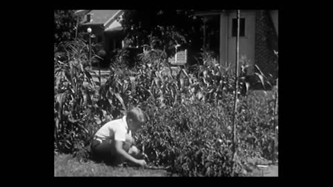 Urban Farming Victory Gardens 1941