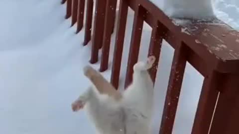 The snow trap