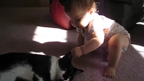 Cute Baby and Cats doing fun together haha Funny vedio...