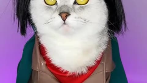 Mikasa Caterman