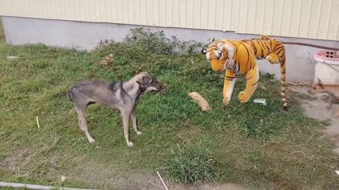 Fake Tiger Prank Dog!!! Try To Stop Laugh Challenge