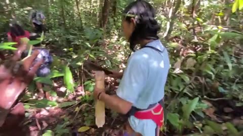 PUNAN BATU The Last Jungle Tribe of Kalimantan Island