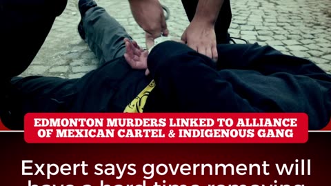 Edmonton murders linked to alliance of Mexican cartel & indigenous gang