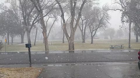 Moderate snow here in Lamar Colorado