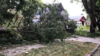 Heavy Windstorm Blows Down Tree onto Vacant Cars