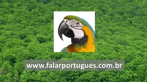 Alfabeto português para iniciantes estrangeiros