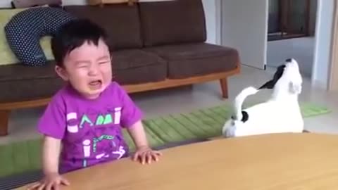 Most funny dog and kids
