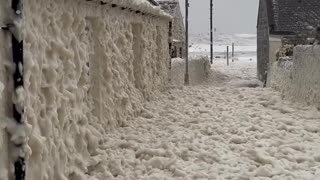 Sudsy Sea Foam Swamps Cape Town Shores