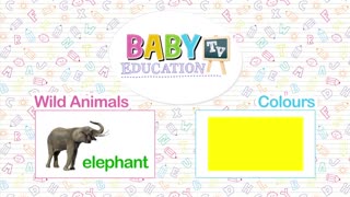 Baby learning animals