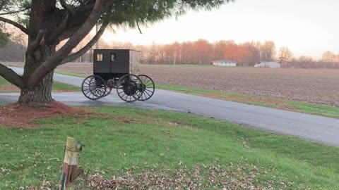 Self Powered Amish Buggy