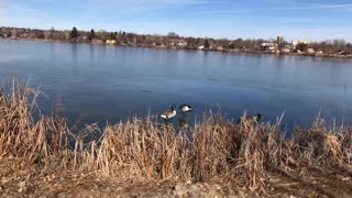 January 24, 2020 - A Beautiful Morning at Sloan's Lake
