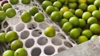 Fruit sorting by size 🍊🍋