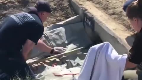 Eight puppies rescued from storm drain