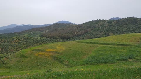 Moroccan nature