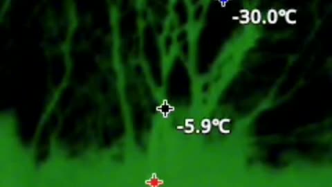 Thermalimaging of the trees at night