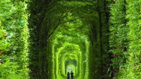 Tunnel of Love | Google Earth Travel