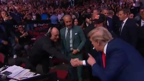 💥 Trump Recieves HUGE Support Entering The UFC Fight