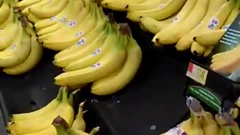 Banana intolerance