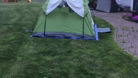 Camping with a surprise