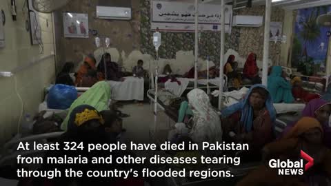 Pakistan floods: Hundreds die as malaria, other diseases tear through country
