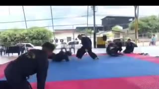 Hapkido