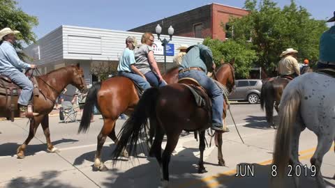 Take Off The Horse For A Walk