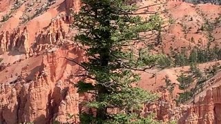 Bryce Point, one of the most breathtaking viewpoints in Bryce Canyon National Park, Utah! 🌄✨