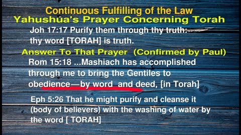Prof Solberg Has a Problem With Torah Obedience