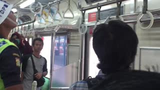 Brave Passenger Removes a Snake from Public Train