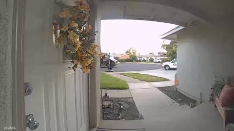 Scared UPS Driver w/ Sprinkler