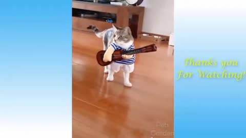 Funny Animal Videos 2022 - Impossible Not to Laugh - Funny Videos #1
