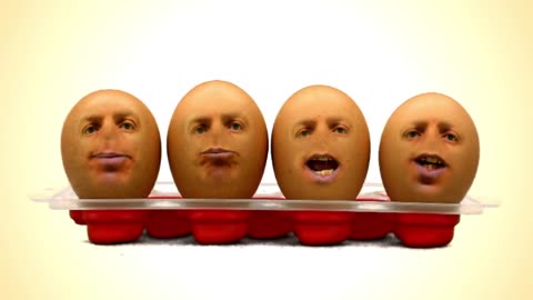 Egg Face Orchestra beat box song