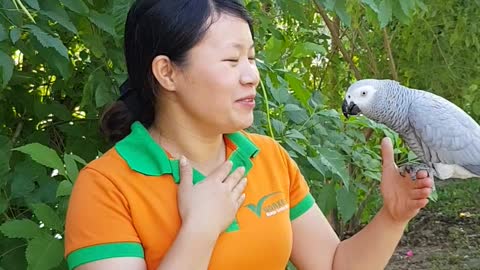 Sweet Parrot Expresses Love for Trainer