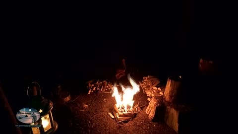 Woodland wildcamping making campfire