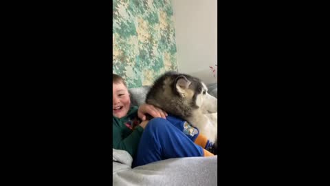 Love Between My Husky & Baby!!_CUTEST VIDEO EVER!_ _WITH MUSIC