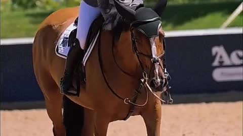 Equestrian practice