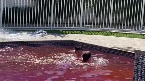 The best Swimming pool funny prank video ! #Swimming #Pool #Funny #Prank #Joke #Amazing #Comedy
