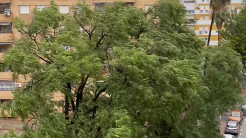 Storm Sends Tree Toppling Onto Car